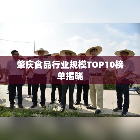 肇庆食品行业规模TOP10榜单揭晓