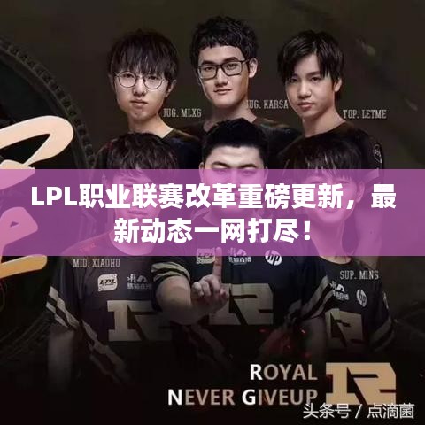 LPL职业联赛改革重磅更新，最新动态一网打尽！