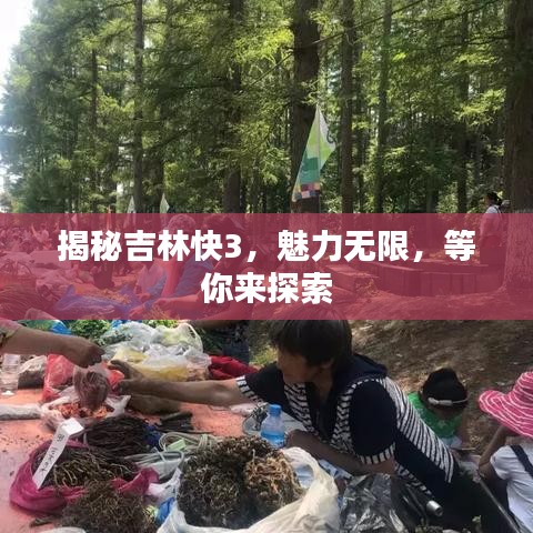 揭秘吉林快3，魅力无限，等你来探索