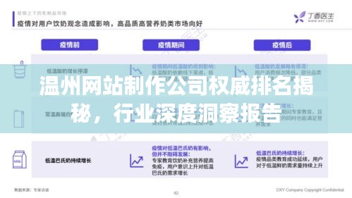 温州网站制作公司权威排名揭秘，行业深度洞察报告