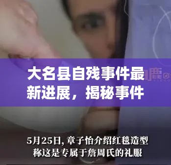 大名县自残事件最新进展，揭秘事件真相，关注受害者现状