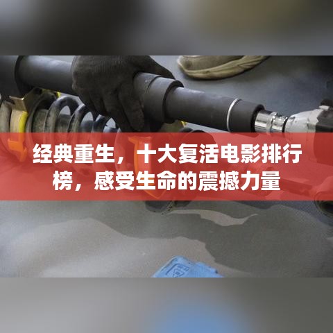 经典重生，十大复活电影排行榜，感受生命的震撼力量