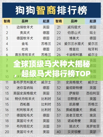 全球顶级马犬种大揭秘，超级马犬排行榜TOP榜单！