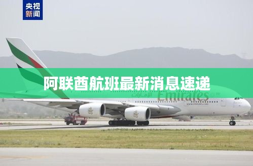 虎背熊腰
