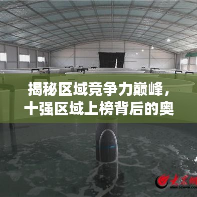揭秘区域竞争力巅峰，十强区域上榜背后的奥秘