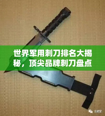 世界军用刺刀排名大揭秘，顶尖品牌刺刀盘点！