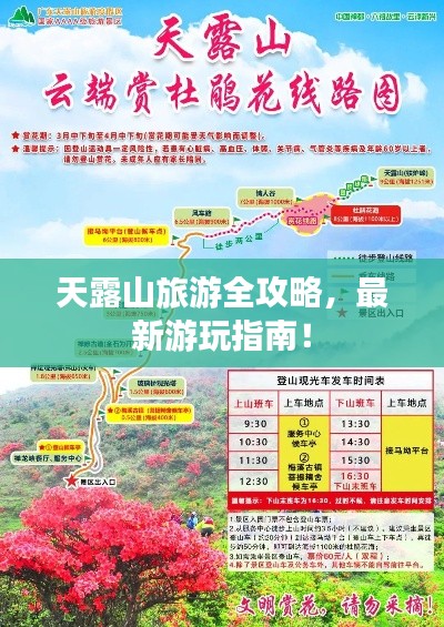 天露山旅游全攻略，最新游玩指南！
