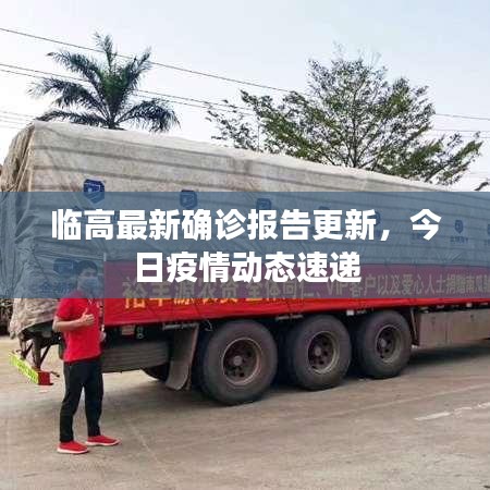 临高最新确诊报告更新，今日疫情动态速递