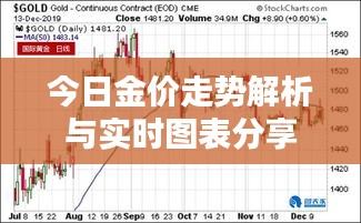 今日金价走势解析与实时图表分享