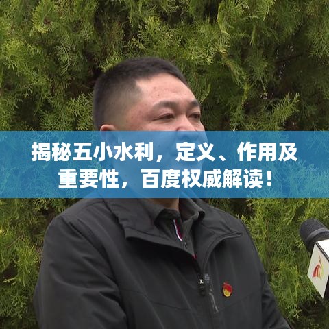 揭秘五小水利，定义、作用及重要性，百度权威解读！