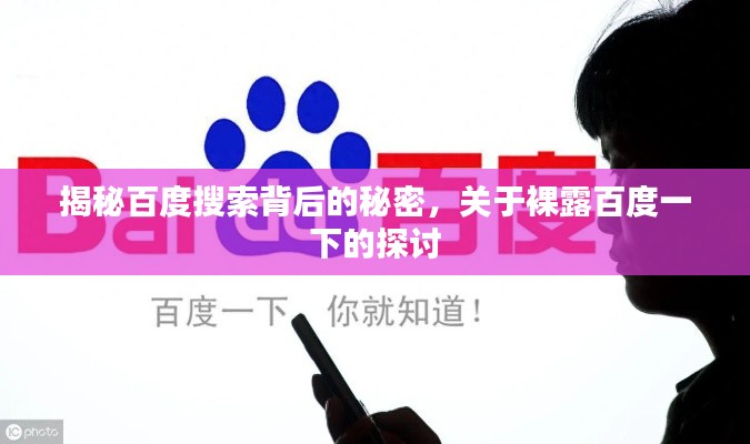 揭秘百度搜索背后的秘密，关于裸露百度一下的探讨