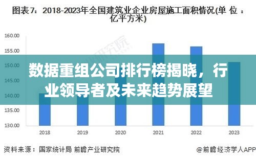 数据重组公司排行榜揭晓，行业领导者及未来趋势展望