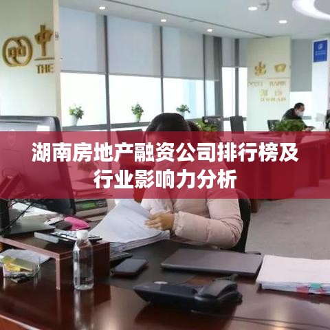 湖南房地产融资公司排行榜及行业影响力分析