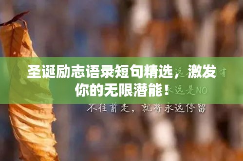 圣诞励志语录短句精选，激发你的无限潜能！