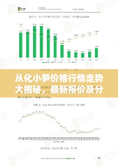 从化小笋价格行情走势大揭秘，最新报价及分析报告