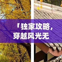 「独家攻略，穿越风光无限的成都至阿尔山之旅」