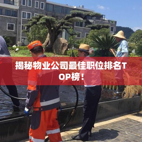 揭秘物业公司最佳职位排名TOP榜！