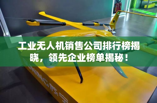 工业无人机销售公司排行榜揭晓，领先企业榜单揭秘！