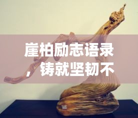 崖柏励志语录，铸就坚韧不拔的人生品格