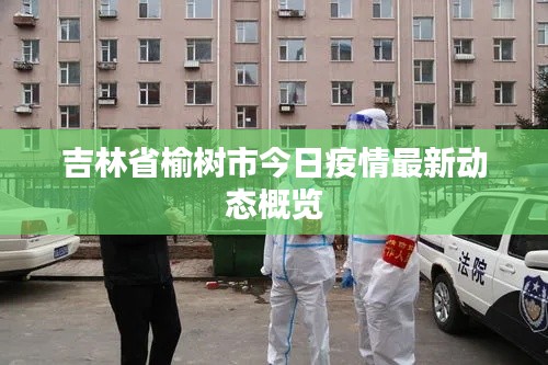 吉林省榆树市今日疫情最新动态概览