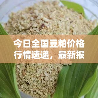 今日全国豆粕价格行情速递，最新报价一网打尽！