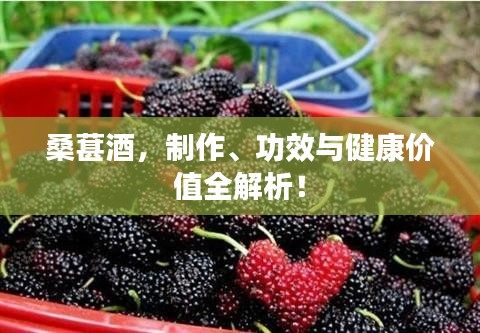 桑葚酒，制作、功效与健康价值全解析！