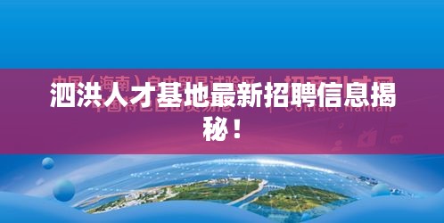 泗洪人才基地最新招聘信息揭秘！