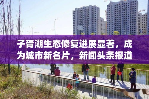 子胥湖生态修复进展显著，成为城市新名片，新闻头条报道！