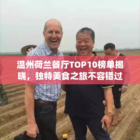 温州荷兰餐厅TOP10榜单揭晓，独特美食之旅不容错过