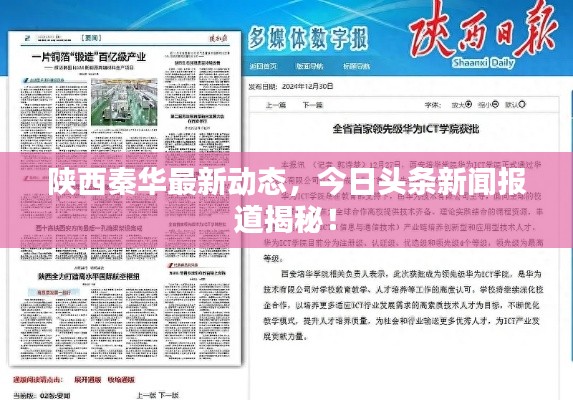 陕西秦华最新动态，今日头条新闻报道揭秘！