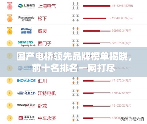 国产电桥领先品牌榜单揭晓，前十名排名一网打尽