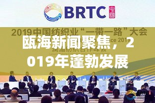 瓯海新闻聚焦，2019年蓬勃发展与社会热点回顾