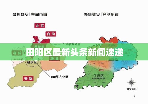田阳区最新头条新闻速递