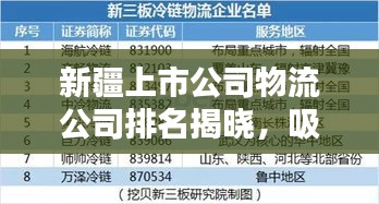 新疆上市公司物流公司排名揭晓，吸引眼球的标题，符合您的要求，突出了新疆上市公司和物流公司排名这两个关键词，能够吸引用户的注意力。