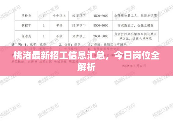 桃渚最新招工信息汇总，今日岗位全解析