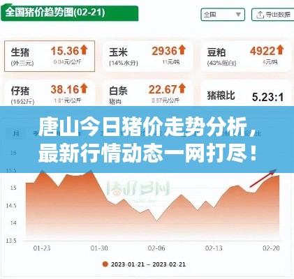唐山今日猪价走势分析，最新行情动态一网打尽！