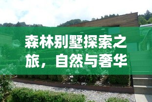 森林别墅探索之旅，自然与奢华的完美融合最新视频攻略