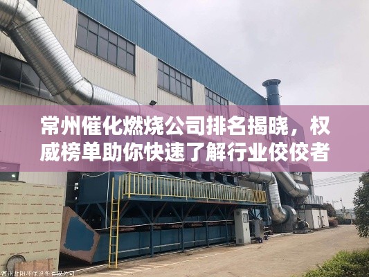 常州催化燃烧公司排名揭晓，权威榜单助你快速了解行业佼佼者