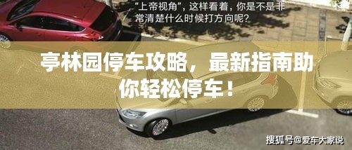 亭林园停车攻略，最新指南助你轻松停车！