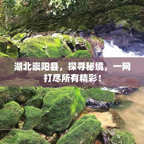 湖北崇阳县，探寻秘境，一网打尽所有精彩！