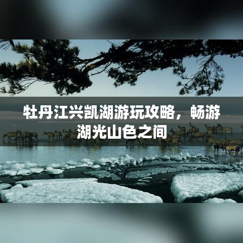 寥若晨星