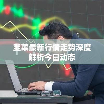韭菜最新行情走势深度解析今日动态