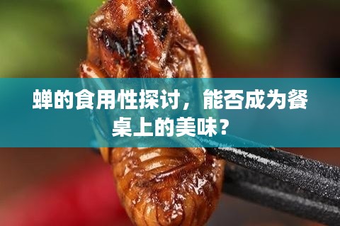 蝉的食用性探讨，能否成为餐桌上的美味？