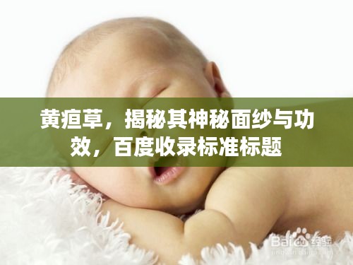 黄疸草，揭秘其神秘面纱与功效，百度收录标准标题