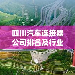 四川汽车连接器公司排名及行业影响力解析