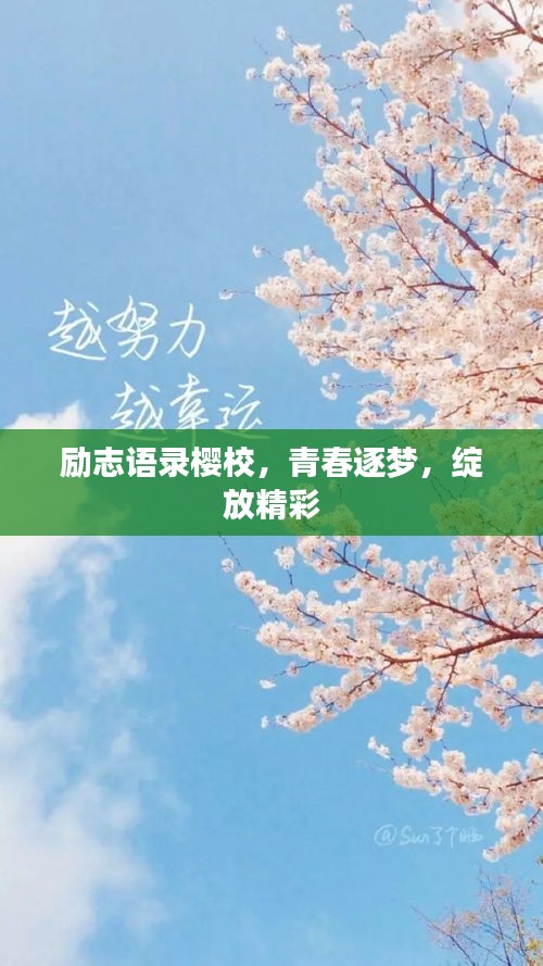 励志语录樱校，青春逐梦，绽放精彩