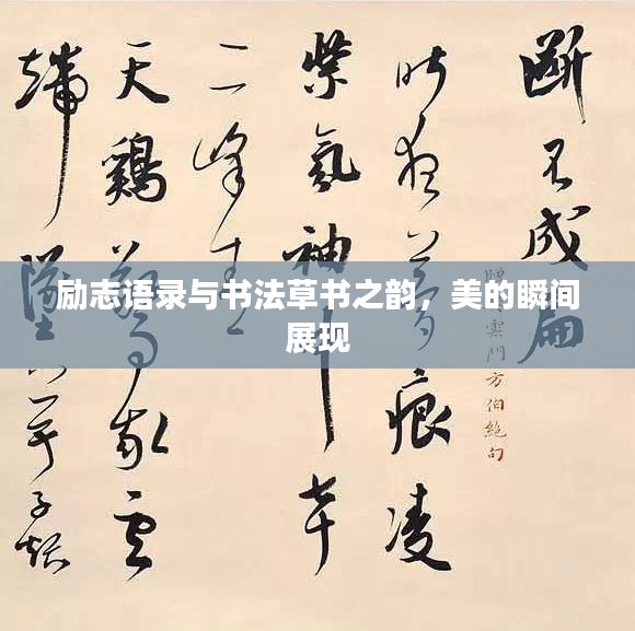 2025年5月3日 第2页