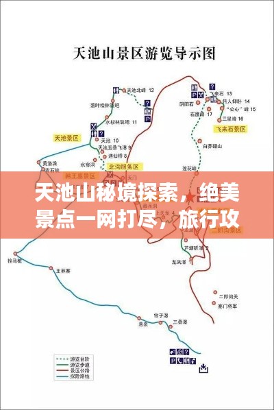2025年5月4日 第5页