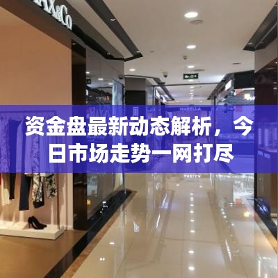 资金盘最新动态解析，今日市场走势一网打尽