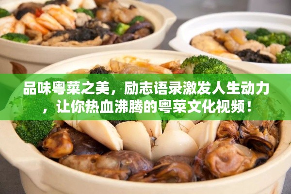 证书查询 第10页